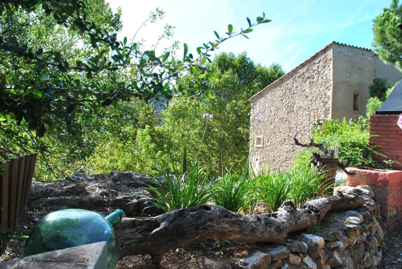 Masia El Riscle - Moli Del Pont Casa de hóspedes Cornudella de Montsant Exterior foto